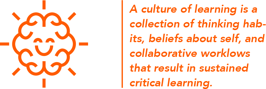 culture of learning