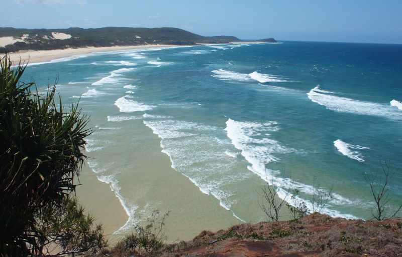 Noosa-small